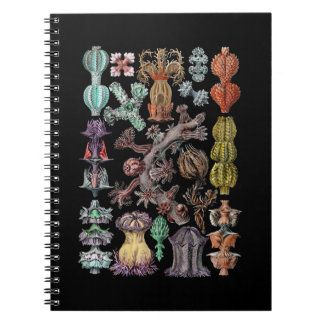 Colourful Gorgonide Sea Coral and Sponges Notebook