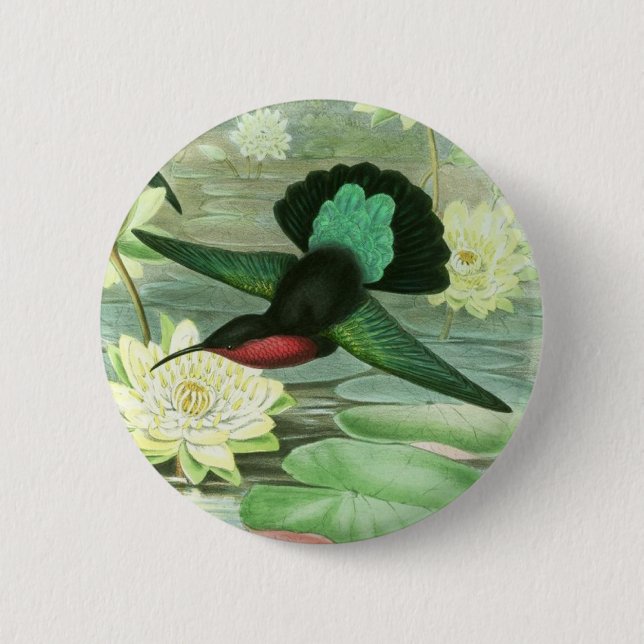 Colourful Gould Hummingbird Round Button Pin (Front)