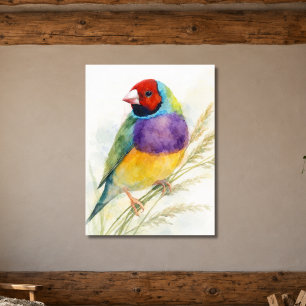 Colourful Gouldian Finch Bird Poster