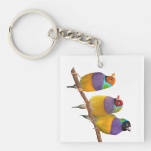 Colourful Gouldian Finches in Pastels Key Ring