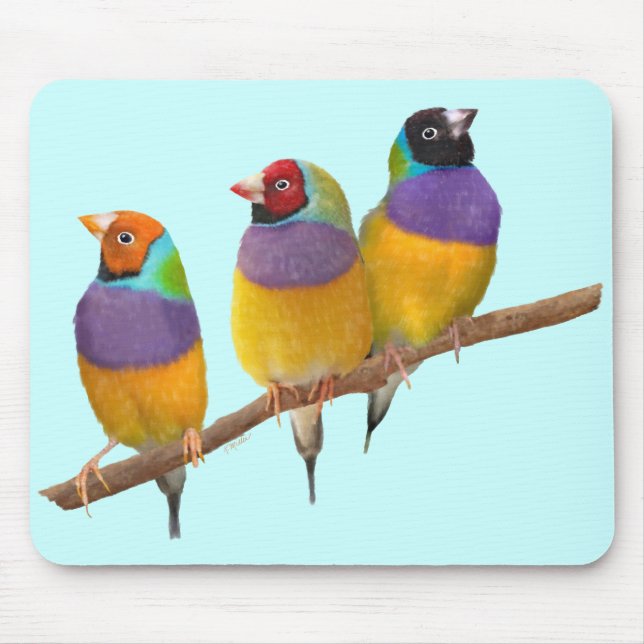 Colourful Gouldian Finches in Pastels Mouse Pad (Front)