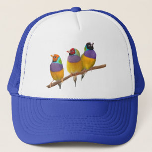 Colourful Gouldian Finches in Pastels Trucker Hat