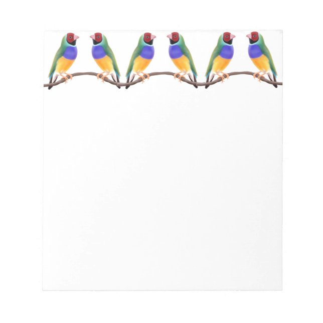 Colourful Gouldian Finches Notepad (Front)