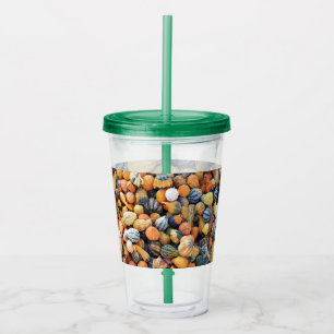 Colourful Gourds A Acrylic Tumbler