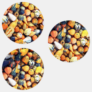 Colourful Gourds C