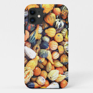 Colourful Gourds C iPhone 11 Case