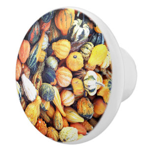Colourful Gourds C Ceramic Knob