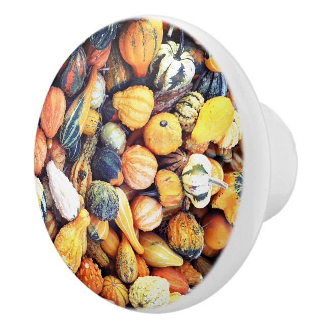 Colourful Gourds C  Ceramic Knob (Right)