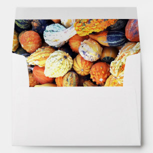 Colourful Gourds C  Envelope