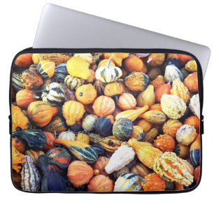 Colourful Gourds C Laptop Sleeve