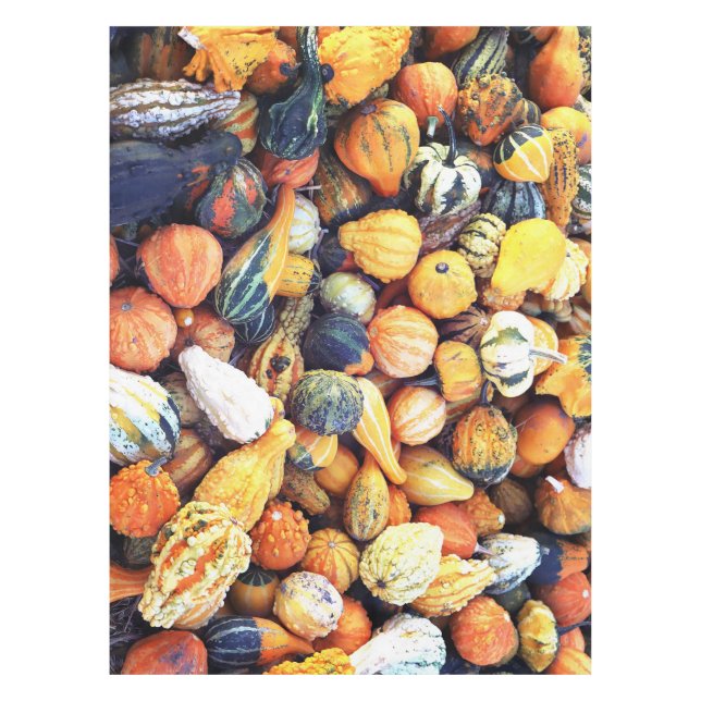 Colourful Gourds C  Tablecloth (Front)