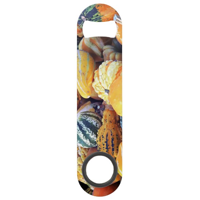 Colourful Gourds Close Up  (Front)