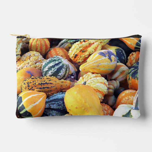 Colourful Gourds Close Up  Accessory Pouch (Front)