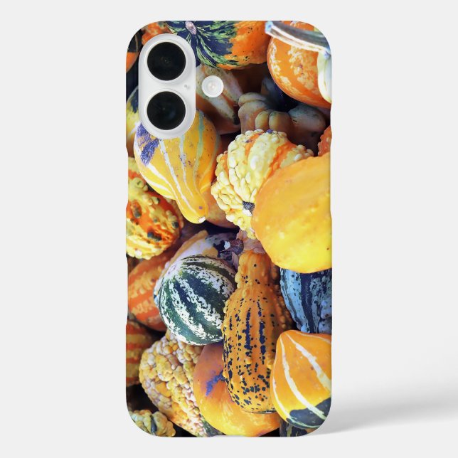 Colourful Gourds Close Up  Case-Mate iPhone Case (Back)