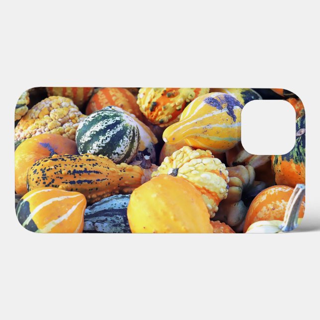 Colourful Gourds Close Up  Case-Mate iPhone Case (Back (Horizontal))
