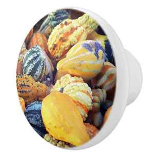Colourful Gourds Close Up  Ceramic Knob