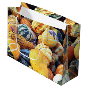 Colourful Gourds Close Up  Large Gift Bag