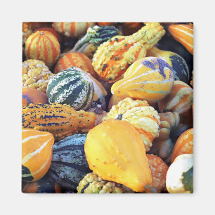 Colourful Gourds Close Up Magnet