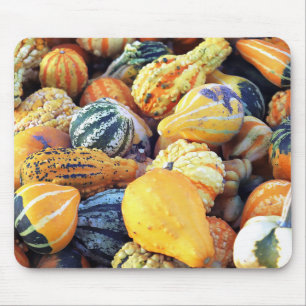 Colourful Gourds Close Up Mouse Pad