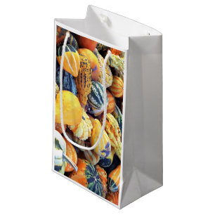 Colourful Gourds Close Up Small Gift Bag