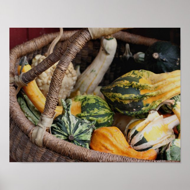 Colourful Gourds In Wicker Basket Autumn Poster (Front)