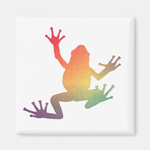 Colourful Gradient Frog Lover Gifts Magnet
