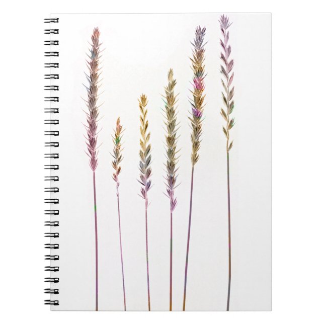 Colourful Grasses Notebook (Front)