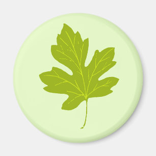 Colourful Green Autumn Leaf Magnet