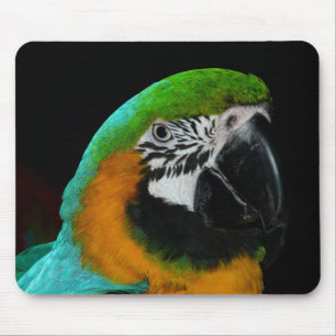 Colourful Green Parrot Mouse Pad