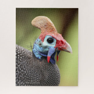Colourful Guinea-Fowl Portrait Jigsaw Puzzle