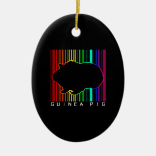 Colourful Guinea Pig   Cute Guinea Lover   Cute Pe Ceramic Ornament