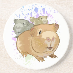 Colourful Guinea Pig Trio Rainbow Paint Splash Coaster