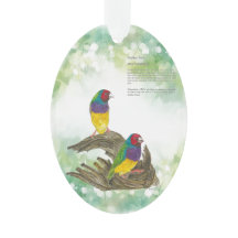 Colourful Hand-Painted Endangered Gouldian Finch