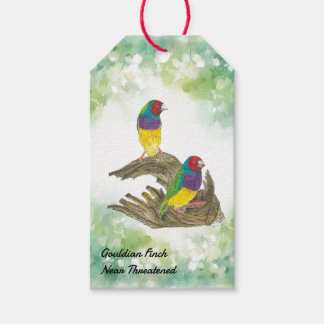 Colourful Hand-Painted Gouldian finch Gift Tags