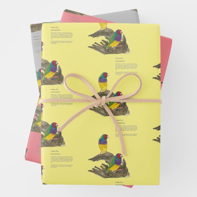 Colourful Hand-Painted Gouldian Finch Wrapping Paper Sheet (In situ)