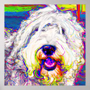 Colourful Happy Fluffy Old English Sheepdog Poster