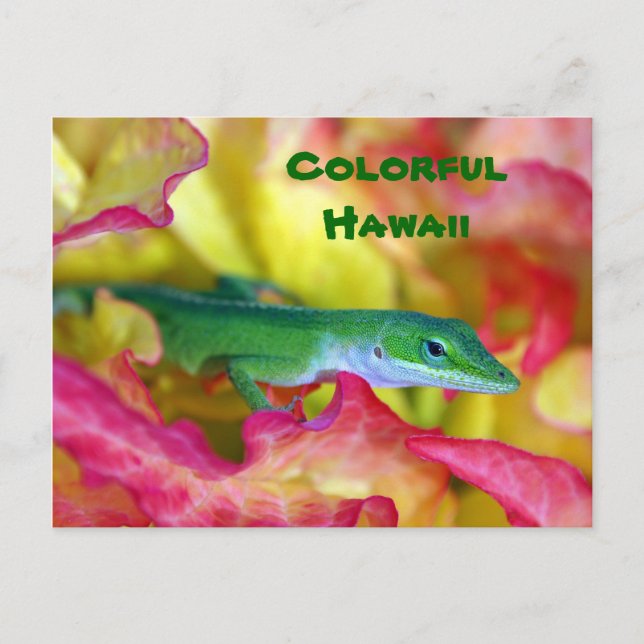 Colourful Hawaii Postcard (Front)