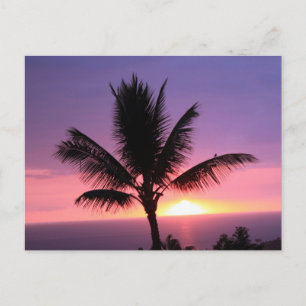 Colourful Hawaiian Sunset and Palm Postcard