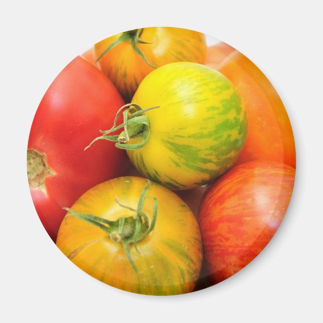 Colourful Heirloom Tomatoes Magnet (Front)
