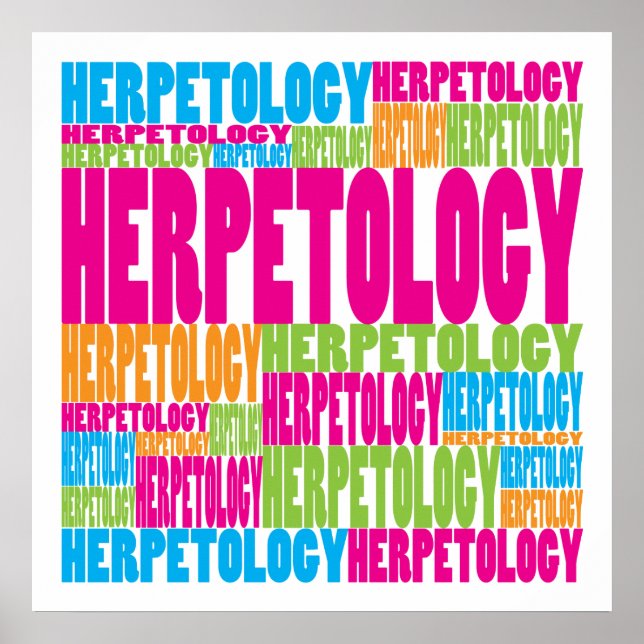 Colourful Herpetology Poster (Front)