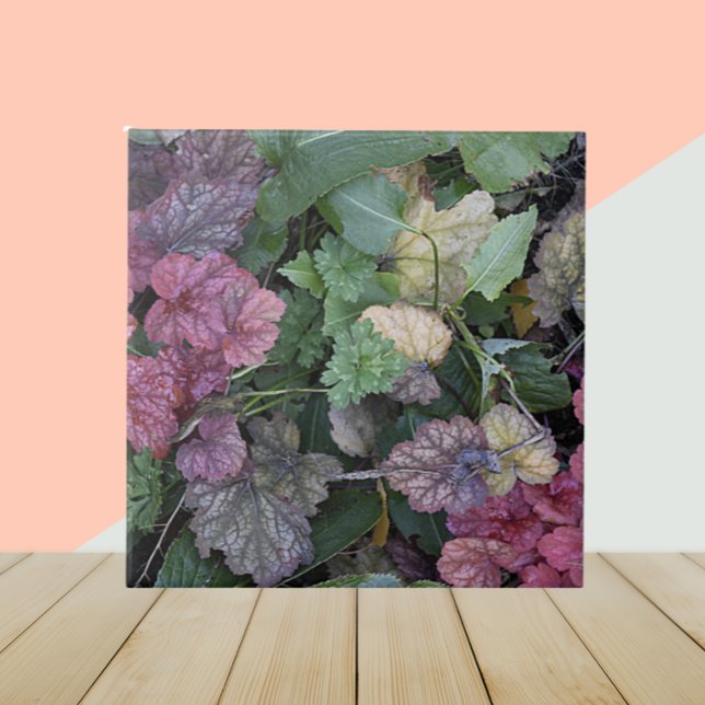 Colourful Heuchera Plant Leaves Botanical Ceramic Tile (In Situ)