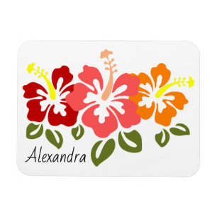 Colourful Hibiscus Trio Personalised Magnet