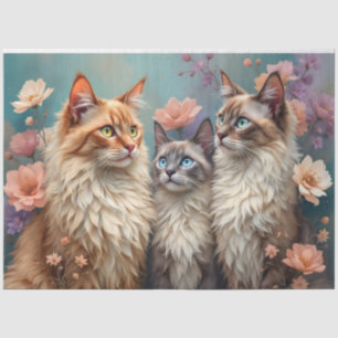 Colourful Himalayan Cats in Pastel Flowers Tissue Paper