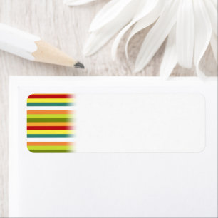 Colourful Horizontal Lines Cinco de Mayo Fiesta Return Address Label