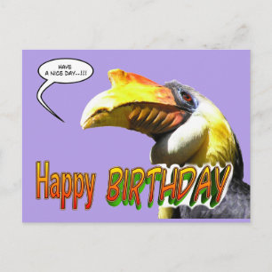 Colourful Hornbill Birthday Postcard