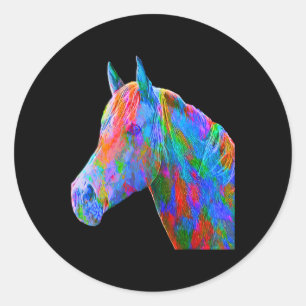 Colourful Horse Art Horseback Riding Lover Artsy H Classic Round Sticker