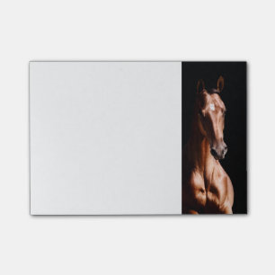 Colourful Horse Pattern Post-it Notes