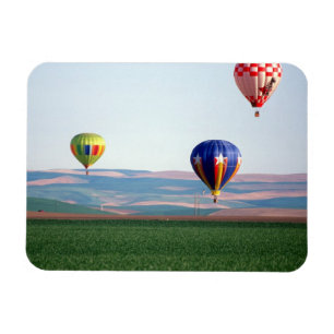 Colourful hot air balloons float over wheat magnet