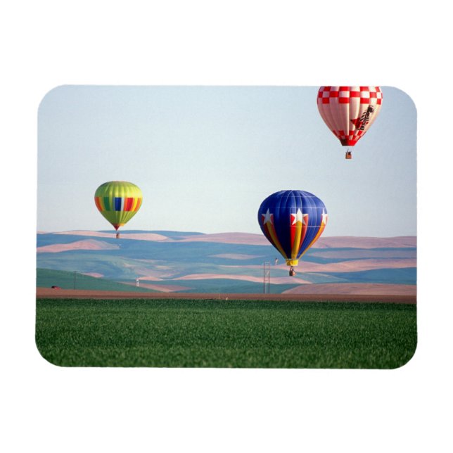 Colourful hot air balloons float over wheat magnet (Horizontal)