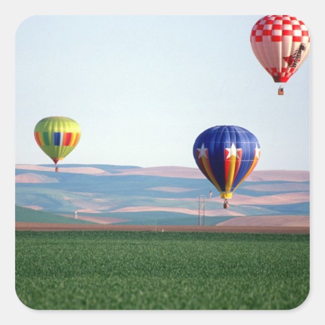 Colourful hot air balloons float over wheat square sticker (Front)